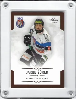 Žůrek Jakub OFS Chance Liga 2018-19  č.273